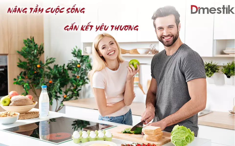 Giới thiệu Dmestik