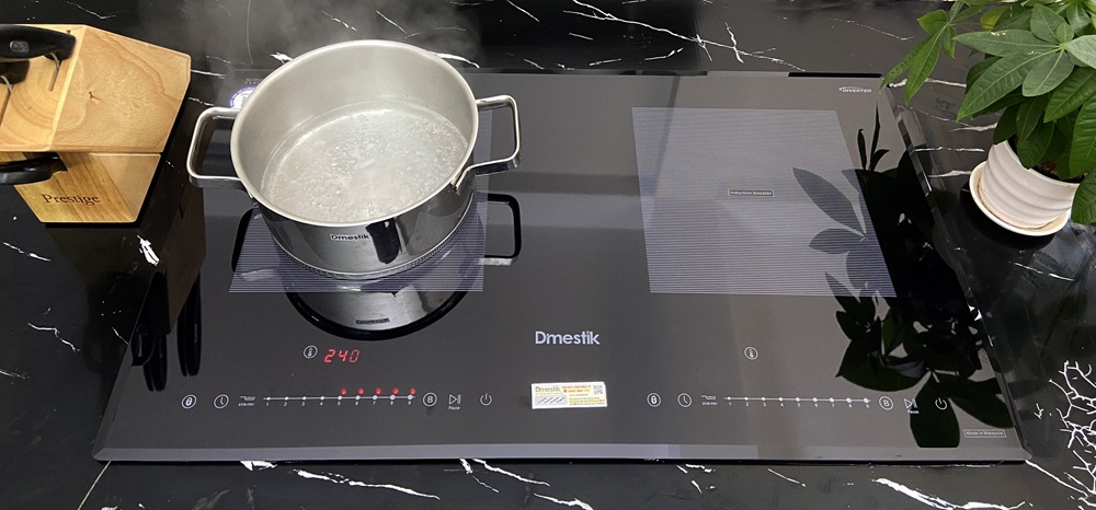 Bếp từ đôi Dmestik ML 929DKI Schott Ceran